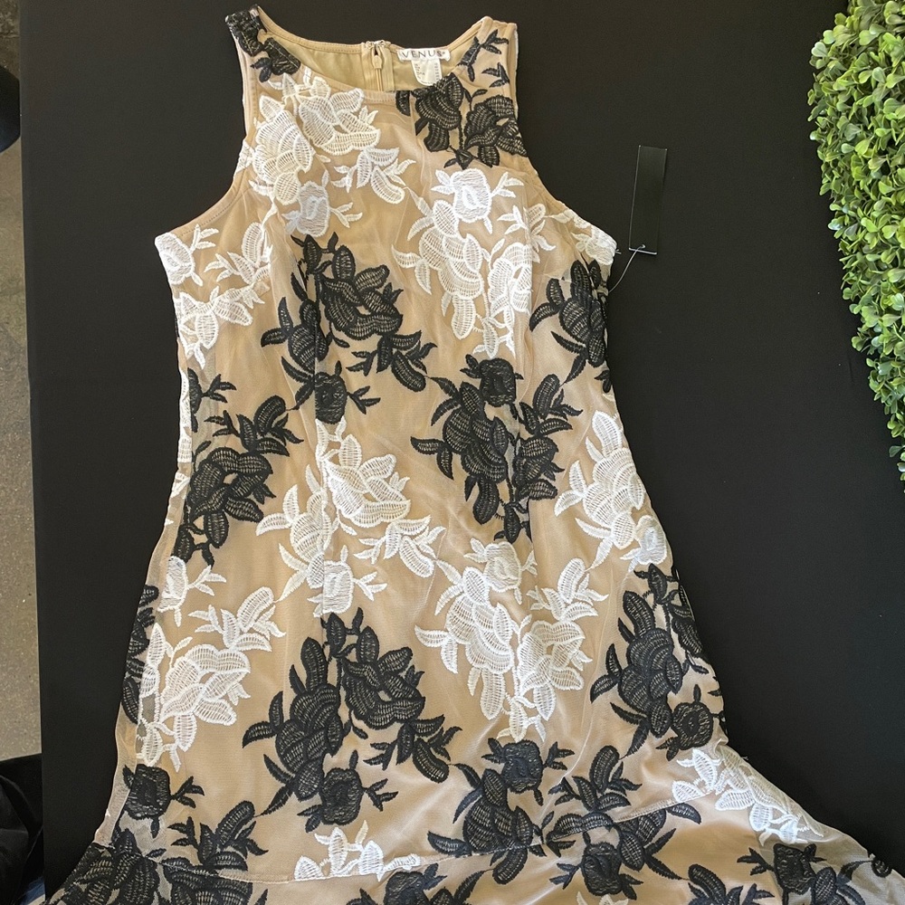 Venus Dress Size 10